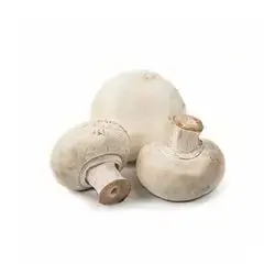 Mushroom Local Pack