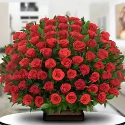 Box Rose