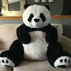 panda