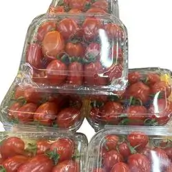 Small Tomato