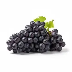 Black Grapes
