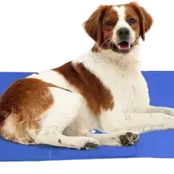 Cooling Mat