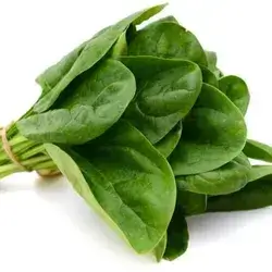 Spinach