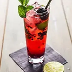 Blackberry Mojito