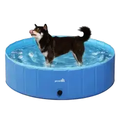 Pool 115 CM