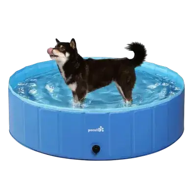 Pool 115 CM