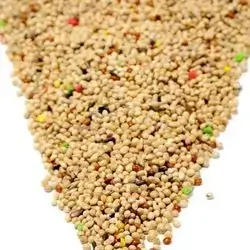 Badji Bird Feed