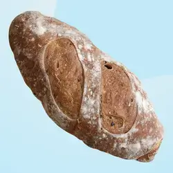 Olive Batard