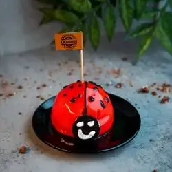 Ladybug
