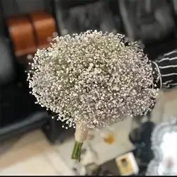 Gypsophila Flower