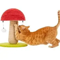Toadstool Scratcher 