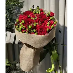 Mix Baby Rose