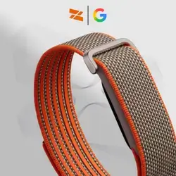 Google Fitbit Air - Special Edition Stephen Curry, Pyrite Stainless Steel Buckle - Rye Band