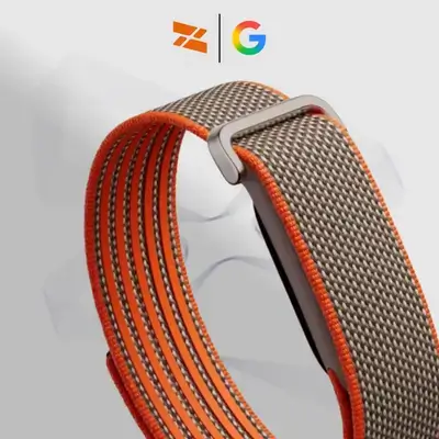Google Fitbit Air - Special Edition Stephen Curry, Pyrite Stainless Steel Buckle - Rye Band