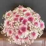 Engagement Rose