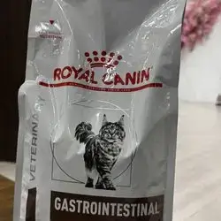 Royal canin Gastrointestinal 2kg