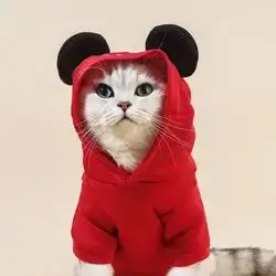 Hoodie L