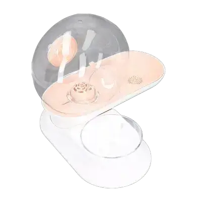 Snail Pet Bowl and Feeder