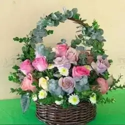 Basket Flower