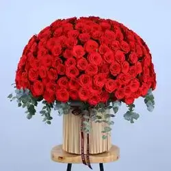 Imported Natural Red Rose Box – 144 Flowers