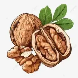 Nut