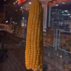 Corn