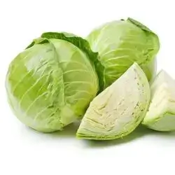 White Cabbage