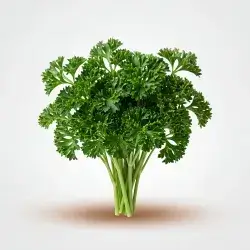 1 Bunch Parsley