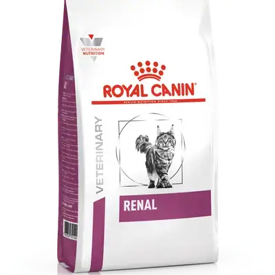 Renal