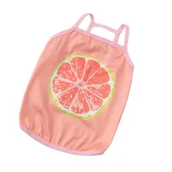 Pet Clothes
