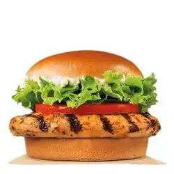Grilled Chicken Burger