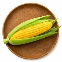 Corn 1 Piece