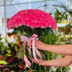 An Elegant Bouquet Of Pink Roses Without Any Additions.