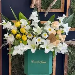 Box