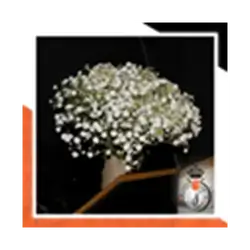 Flowers Bouquet