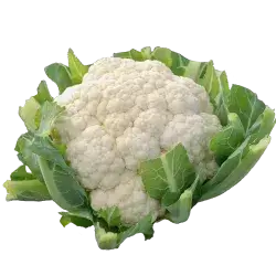 Cauliflower with leaves