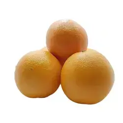 Syrian Orange