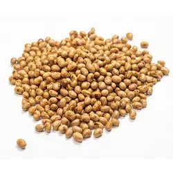 Soybean