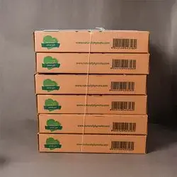 Healthy Breads Set (A Set Of 6 Boxes = 36 Breads)