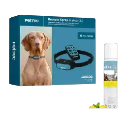 PetTec Training Collar for Dogs