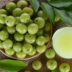  Amla Oil 50ml