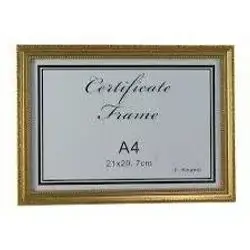 Frame