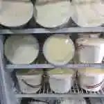 Sheep Yogurt 1 Kg