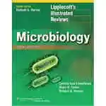 Lippincott Illustrated Reviews: Microbiology (lippincott Illustrated Reviews Series)