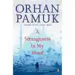 A Strangeness In My Mind