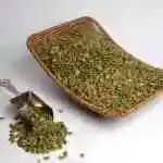 Zucchini Seeds