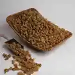 Dry Blueberry