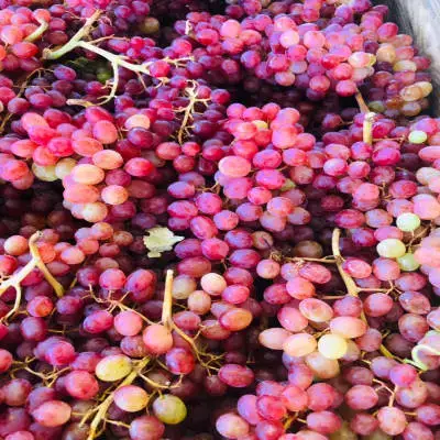 Red Grapes