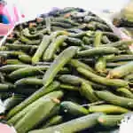 Cucumber