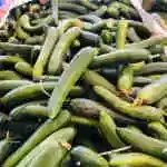 Cucumber
